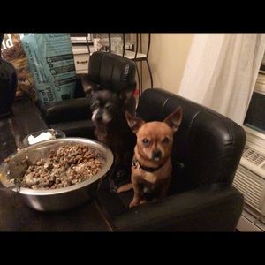 Meet your Posher, Ann